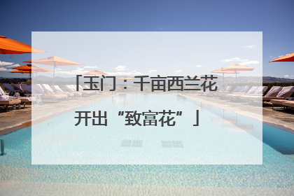玉门：千亩西兰花开出“致富花”