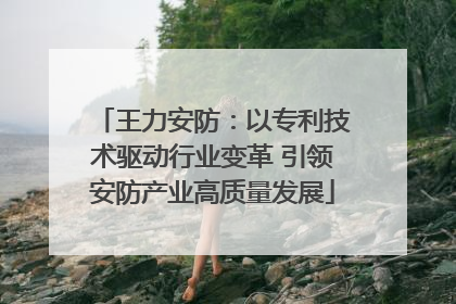 王力安防：以专利技术驱动行业变革 引领安防产业高质量发展