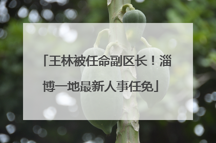 王林被任命副区长！淄博一地最新人事任免