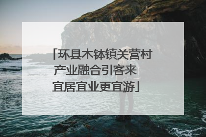 环县木钵镇关营村 产业融合引客来 宜居宜业更宜游
