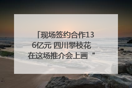 现场签约合作136亿元 四川攀枝花在这场推介会上画“图谱”列“清单”
