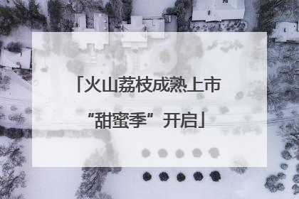 火山荔枝成熟上市 “甜蜜季”开启