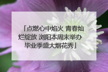 点燃心中焰火 青春灿烂绽放 浏阳本周末举办毕业季盛大烟花秀