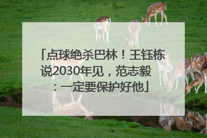 点球绝杀巴林！王钰栋说2030年见，范志毅：一定要保护好他