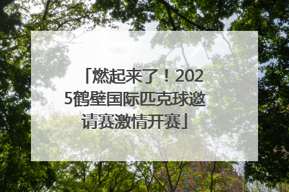 燃起来了！2025鹤壁国际匹克球邀请赛激情开赛