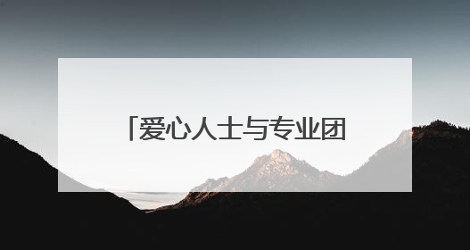 爱心人士与专业团队联手救护 小猫头鹰成功飞上蓝天