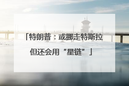 特朗普：或挪走特斯拉 但还会用“星链”