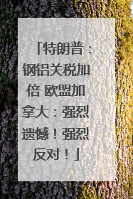 特朗普：钢铝关税加倍 欧盟加拿大：强烈遗憾！强烈反对！