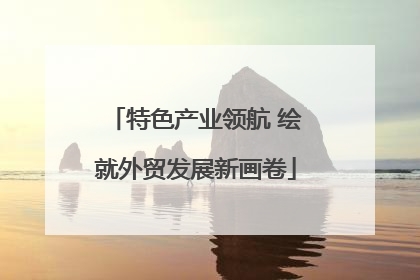 特色产业领航 绘就外贸发展新画卷