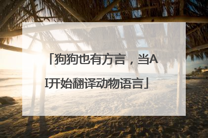 狗狗也有方言，当AI开始翻译动物语言