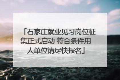 石家庄就业见习岗位征集正式启动 符合条件用人单位请尽快报名