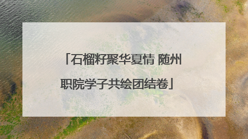 石榴籽聚华夏情 随州职院学子共绘团结卷