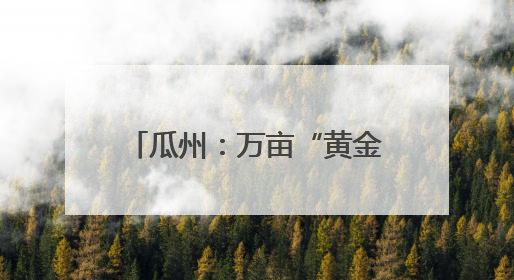 瓜州：万亩“黄金草”迎来丰收季
