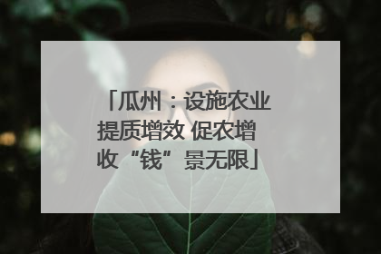 瓜州：设施农业提质增效 促农增收“钱”景无限