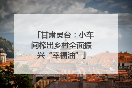甘肃灵台：小车间榨出乡村全面振兴“幸福油”