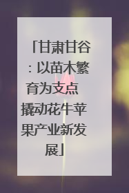 甘肃甘谷：以苗木繁育为支点 撬动花牛苹果产业新发展