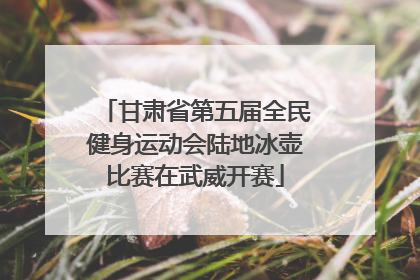 甘肃省第五届全民健身运动会陆地冰壶比赛在武威开赛