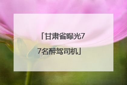 甘肃省曝光77名醉驾司机