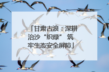 甘肃古浪：深耕治沙“织绿” 筑牢生态安全屏障