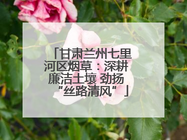 甘肃兰州七里河区烟草：深耕廉洁土壤 劲扬“丝路清风”