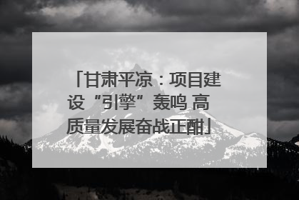 甘肃平凉：项目建设“引擎”轰鸣 高质量发展奋战正酣