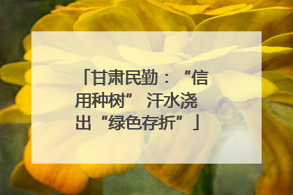 甘肃民勤：“信用种树” 汗水浇出“绿色存折”