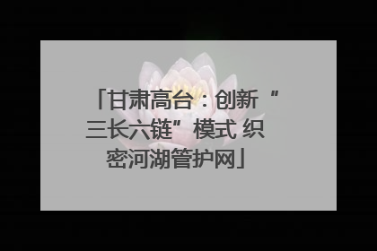甘肃高台：创新“三长六链”模式 织密河湖管护网