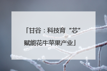 甘谷：科技育“芯”赋能花牛苹果产业