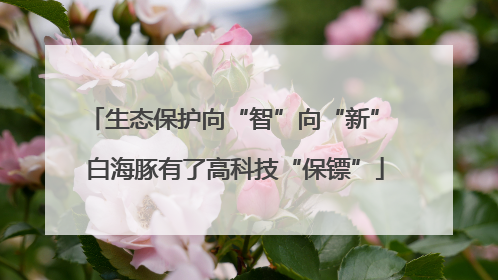 生态保护向“智”向“新” 白海豚有了高科技“保镖”