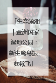 生态潇湘｜萱洲国家湿地公园：新生鹭鸟振翅欲飞