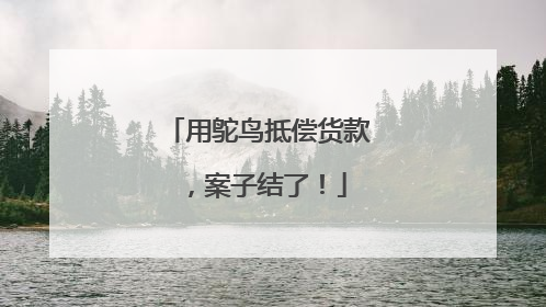 用鸵鸟抵偿货款，案子结了！