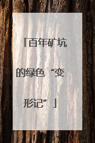 百年矿坑的绿色“变形记”