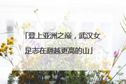 登上亚洲之巅，武汉女足志在翻越更高的山