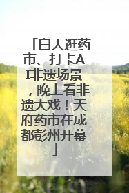 白天逛药市、打卡AI非遗场景，晚上看非遗大戏！天府药市在成都彭州开幕