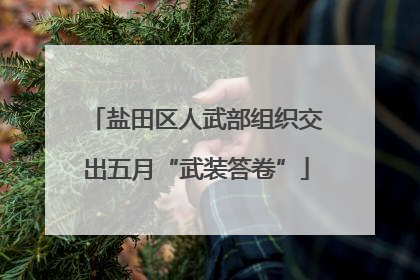 盐田区人武部组织交出五月“武装答卷”