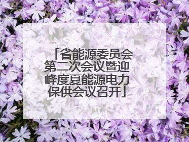 省能源委员会第二次会议暨迎峰度夏能源电力保供会议召开