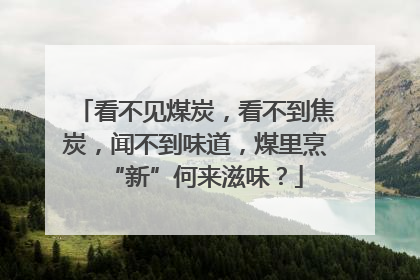 看不见煤炭，看不到焦炭，闻不到味道，煤里烹“新”何来滋味？