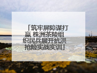 筑牢屏障谋打赢 株洲茶陵组织民兵展开抗洪抢险实战实训
