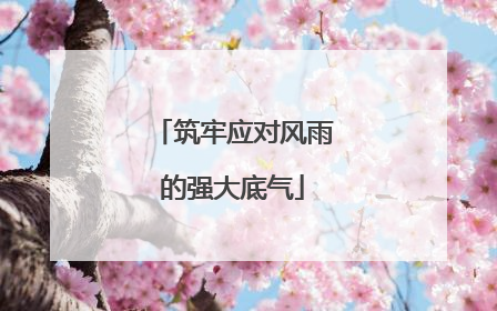 筑牢应对风雨的强大底气