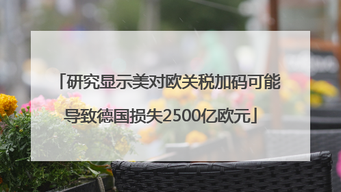 研究显示美对欧关税加码可能导致德国损失2500亿欧元