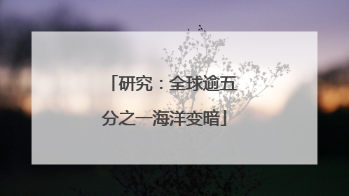 研究：全球逾五分之一海洋变暗