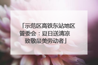 示范区高铁东站地区管委会：夏日送清凉 致敬最美劳动者