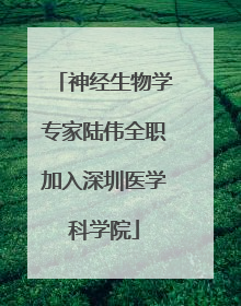 神经生物学专家陆伟全职加入深圳医学科学院