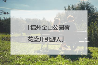 福州金山公园荷花盛开引游人