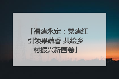 福建永定：党建红引领果蔬香 共绘乡村振兴新画卷