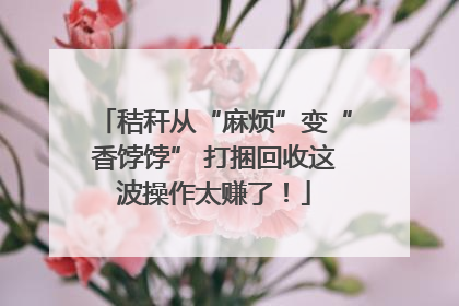 秸秆从“麻烦”变“香饽饽” 打捆回收这波操作太赚了！