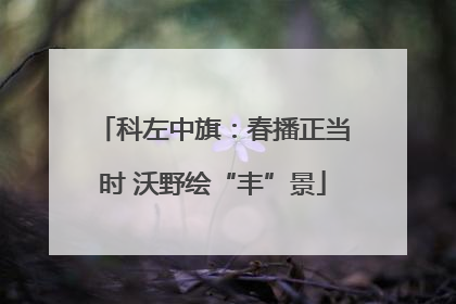 科左中旗：春播正当时 沃野绘“丰”景