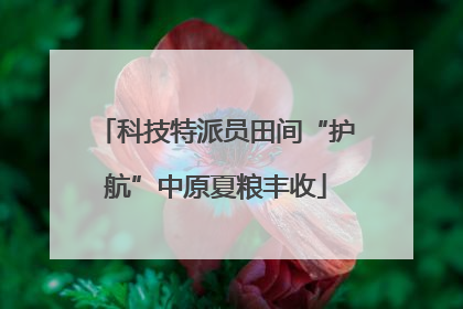 科技特派员田间“护航”中原夏粮丰收