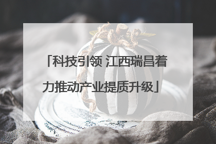 科技引领 江西瑞昌着力推动产业提质升级