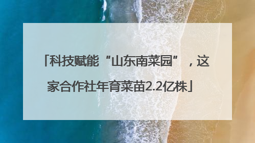 科技赋能“山东南菜园”，这家合作社年育菜苗2.2亿株